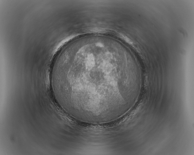 X0000115101214200911101538