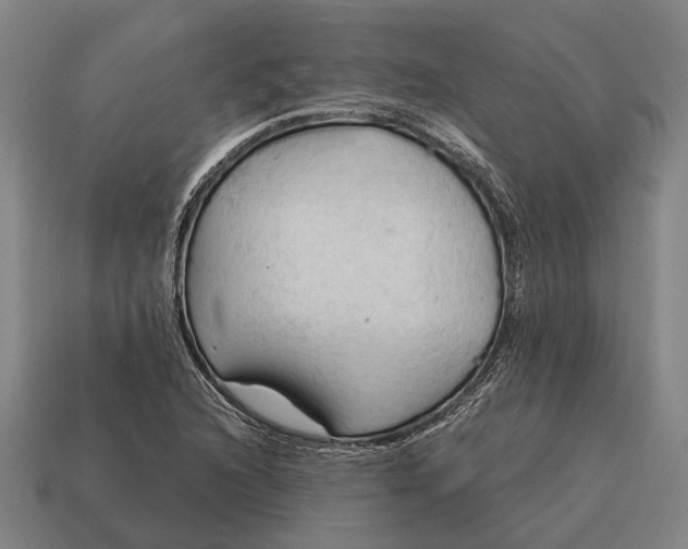 X0000115101216200911101538