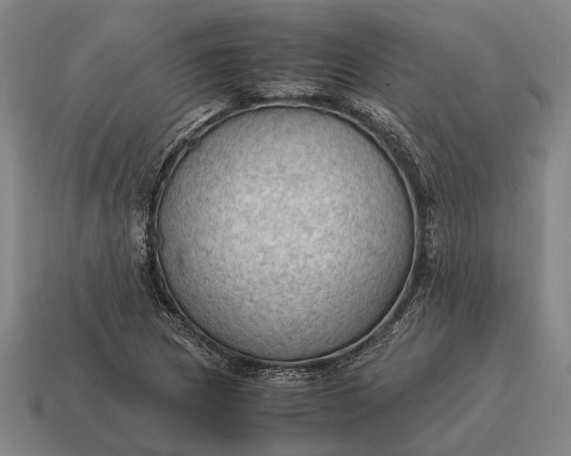 X0000115101217200911101538