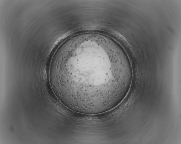 X0000115101218200911101538