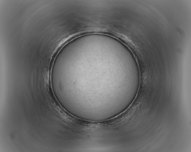 X0000115101220200911101538