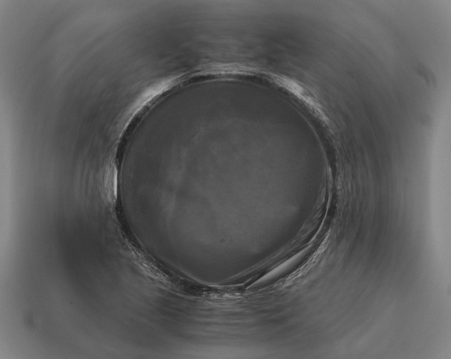 X0000115101221200911101538