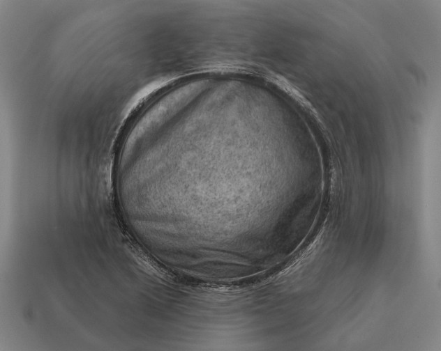 X0000115101222200911101538