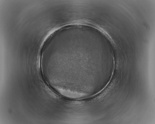 X0000115101224200911101538
