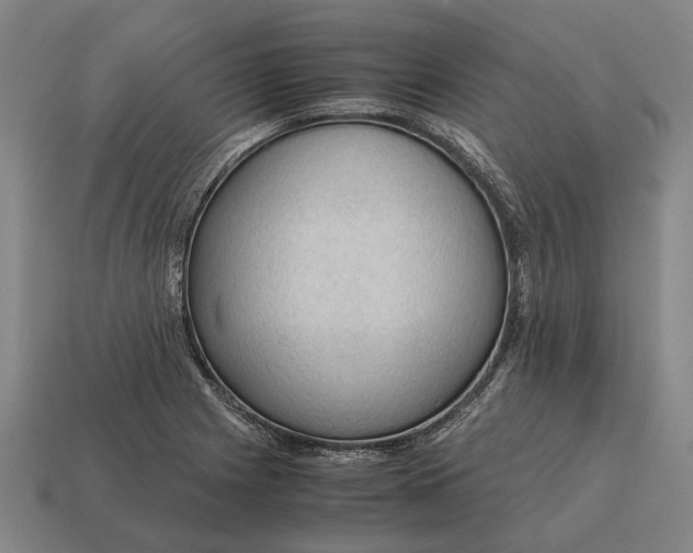 X0000115101225200911101538