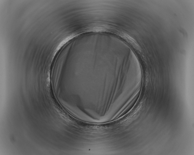 X0000115101226200911101538