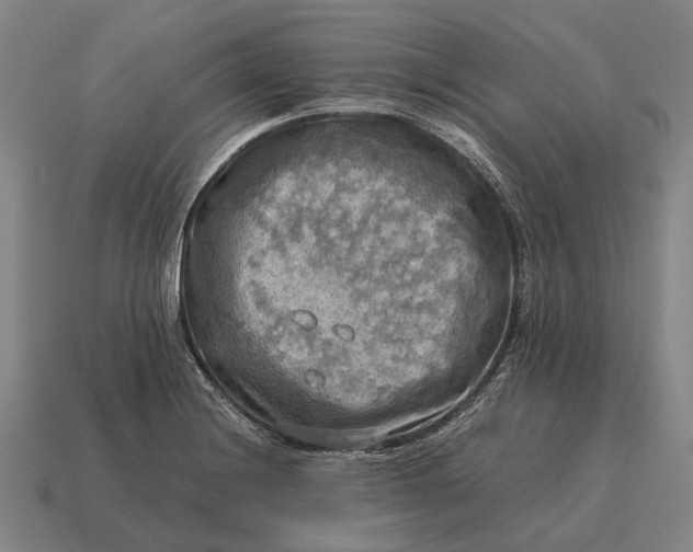 X0000115101228200911101538