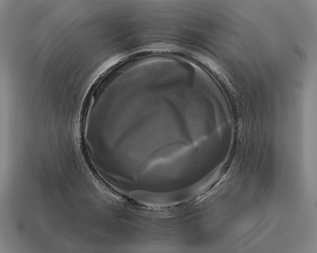 X0000115101229200911101538