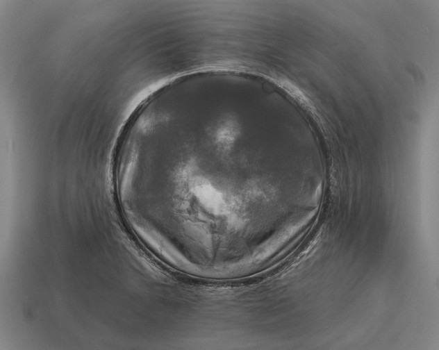 X0000115101230200911101538