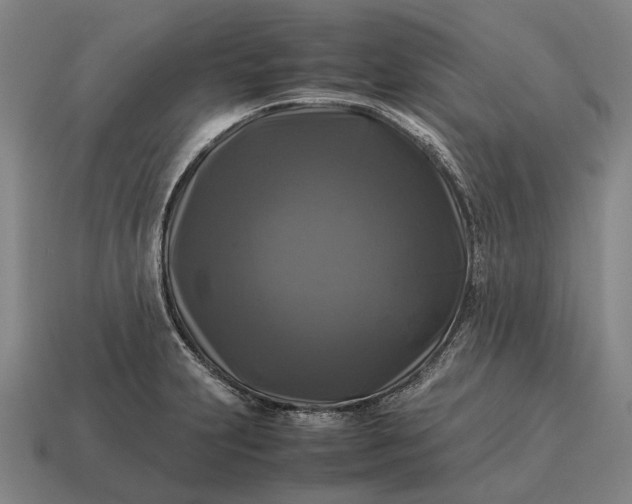 X0000115101231200911101538