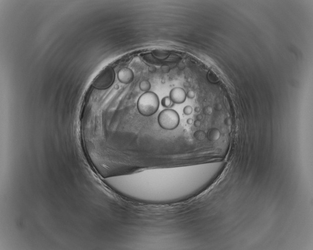 X0000115101232200911101538