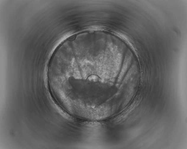 X0000115101235200911101538