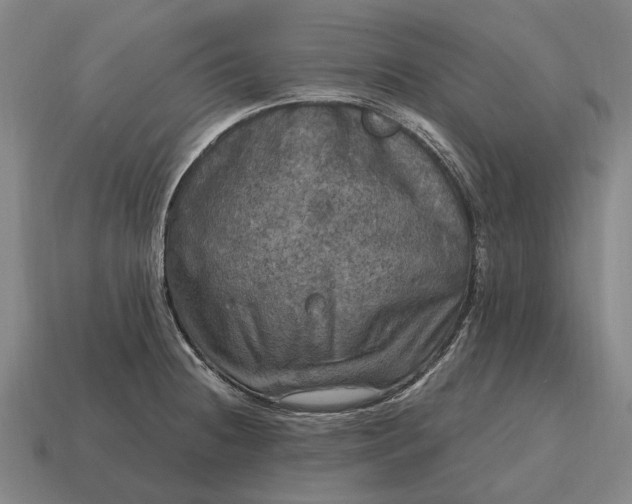 X0000115101236200911101538