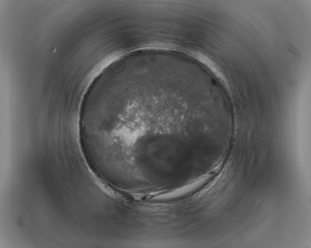 X0000115101237200911101538