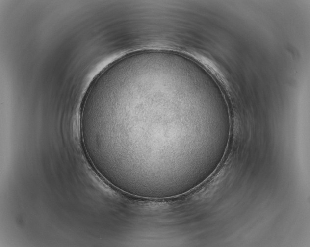 X0000115101238200911101538