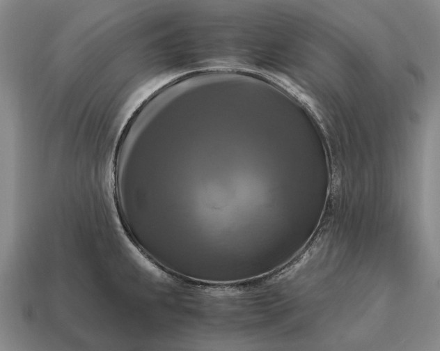 X0000115101239200911101538