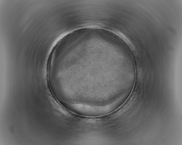 X0000115101240200911101538