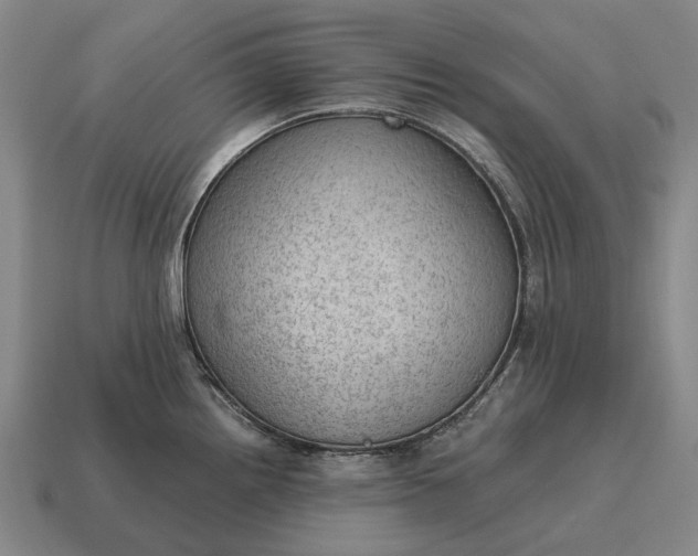 X0000115101242200911101538