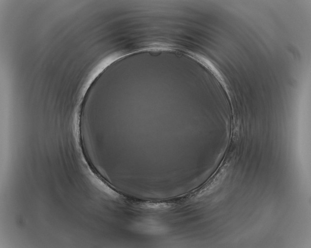 X0000115101243200911101538