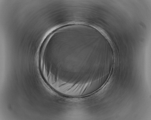 X0000115101246200911101538