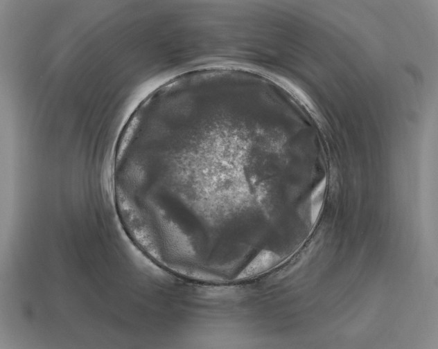 X0000115101247200911101538