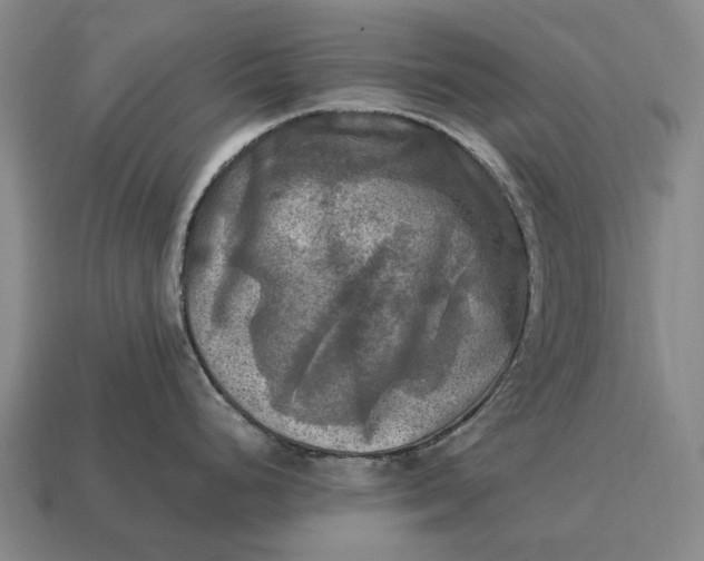 X0000115101248200911101538