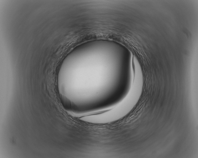 X0000115101249200911101537
