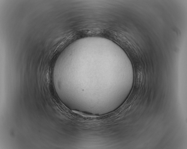 X0000115101250200911101537