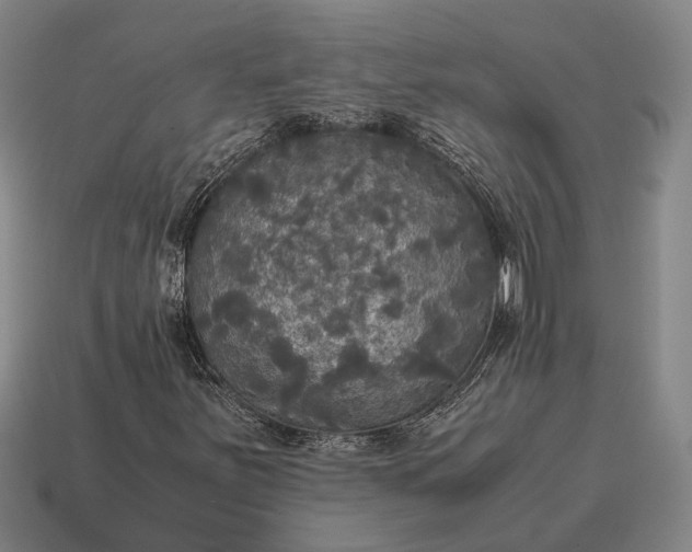 X0000115101251200911101537