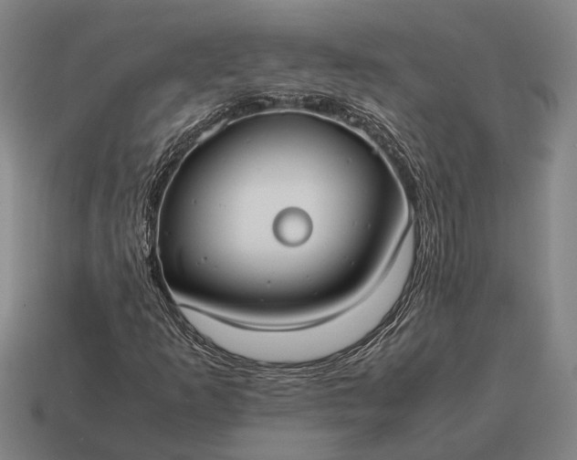 X0000115101253200911101537