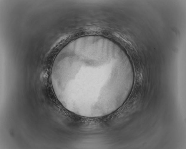 X0000115101254200911101537