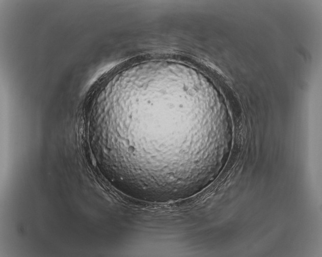 X0000115101255200911101537