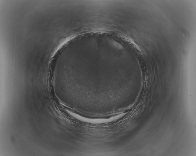 X0000115101256200911101537