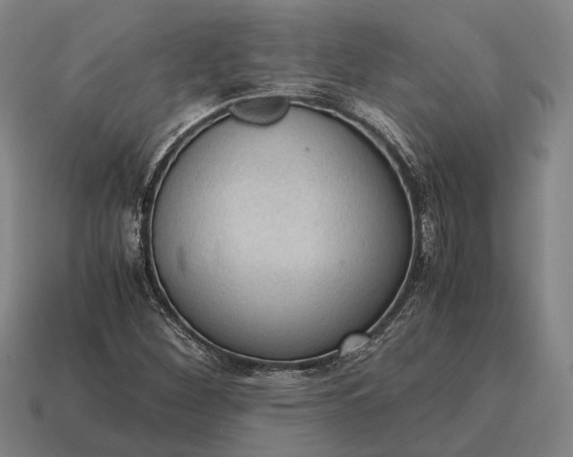 X0000115101260200911101537