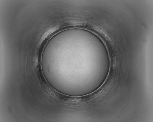 X0000115101261200911101537