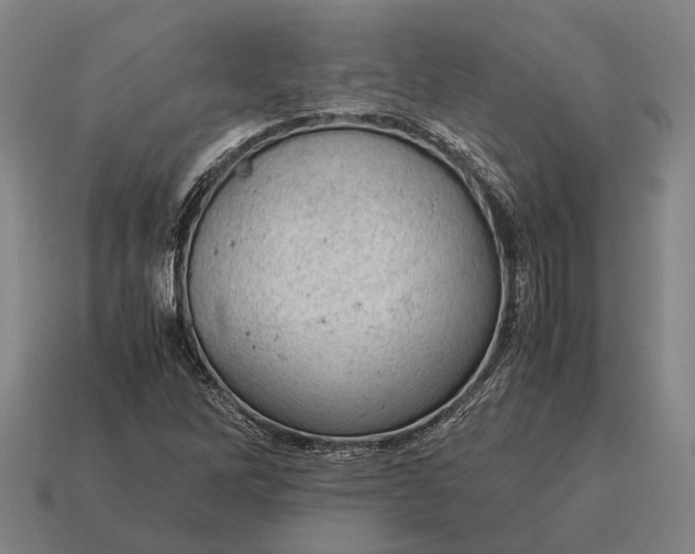 X0000115101262200911101537