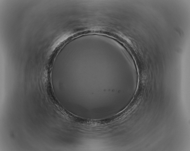 X0000115101263200911101537