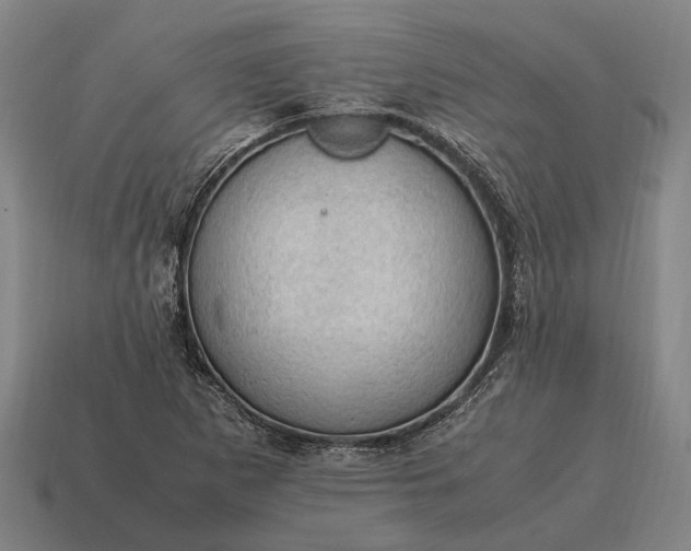 X0000115101265200911101537