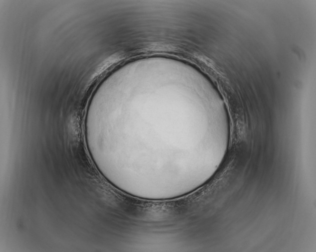 X0000115101266200911101537