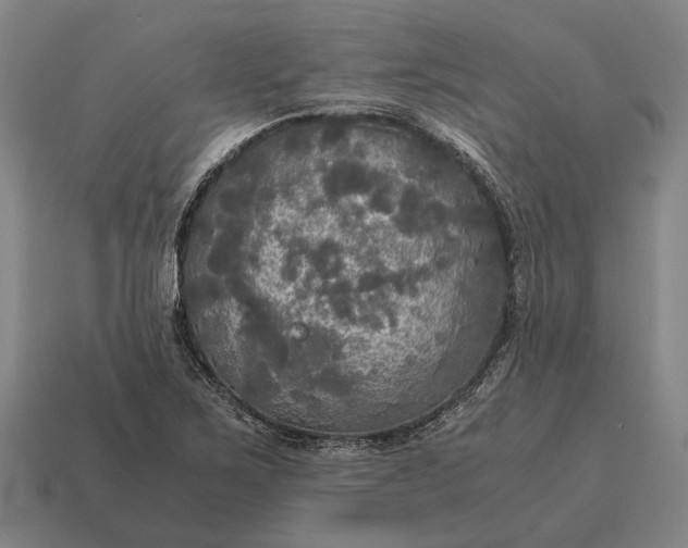 X0000115101267200911101537