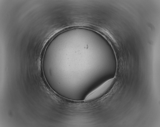 X0000115101268200911101537