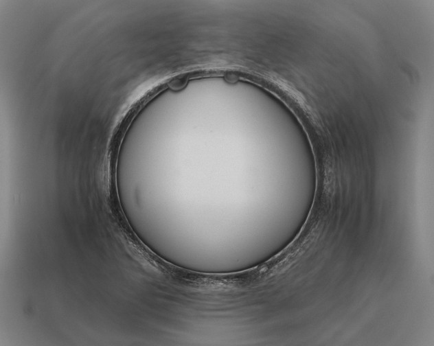 X0000115101270200911101537