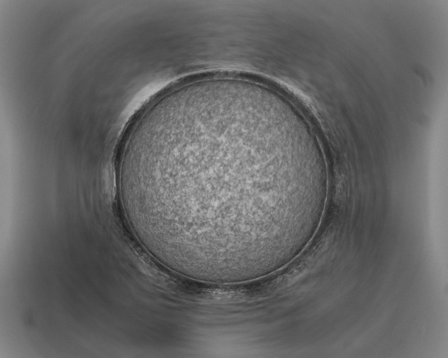 X0000115101271200911101537
