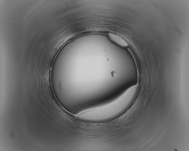 X0000115101273200911101537