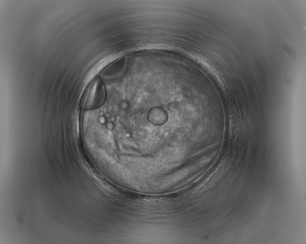 X0000115101274200911101537