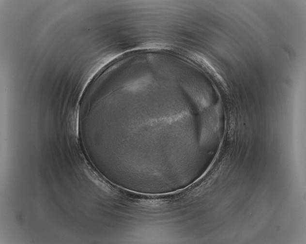 X0000115101276200911101537