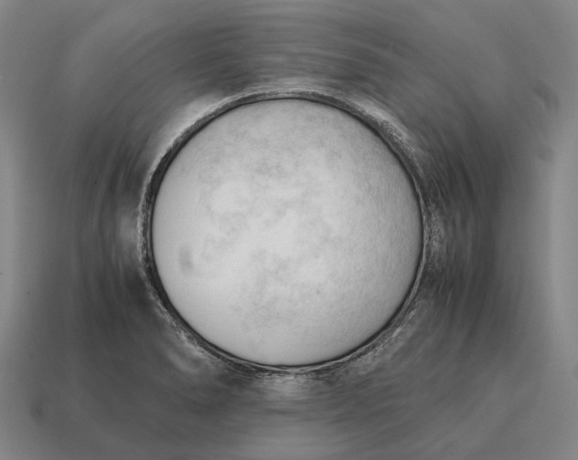 X0000115101278200911101537