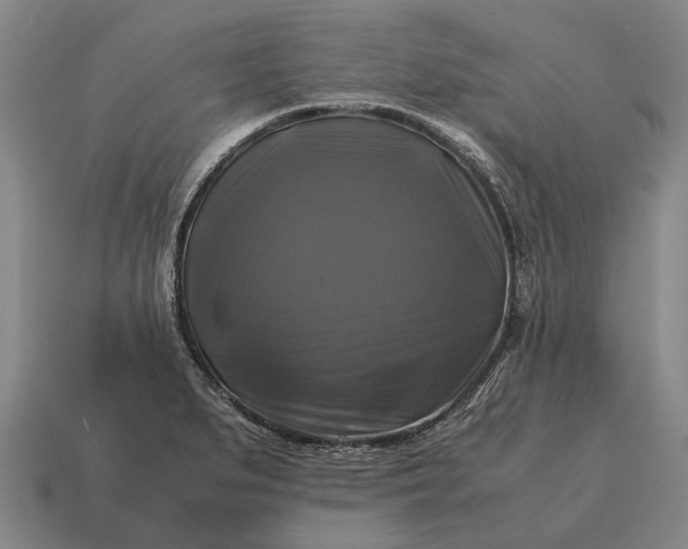 X0000115101279200911101537