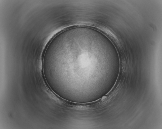 X0000115101280200911101537