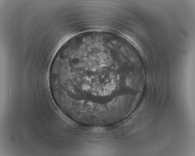 X0000115101283200911101537